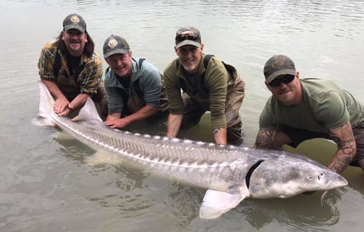 Sturgeon Fishing On The Fraser River In BC - World Adventurists